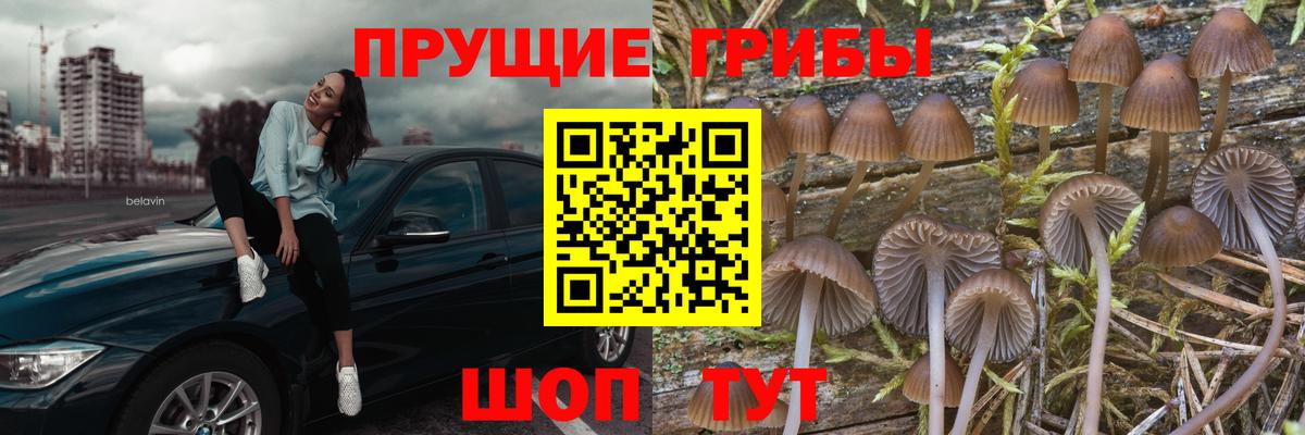 Псилоцибиновые грибы ЛСД  Псилоцибиновые грибы прущие грибы  Вход с VPN  Электросталь 