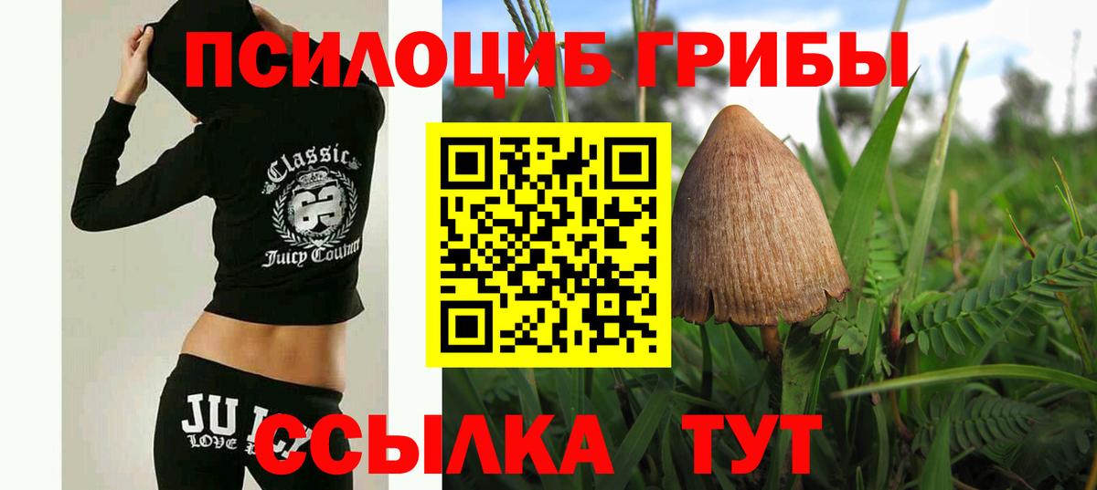 Галлюциногенные грибы прущие грибы Электросталь